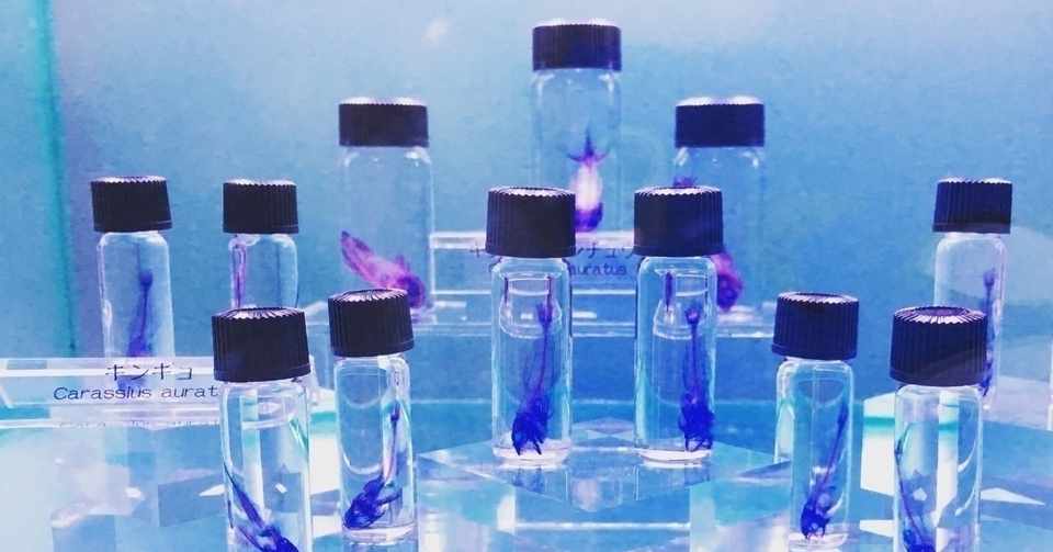 教科嫌いと先生嫌い Atsu Note