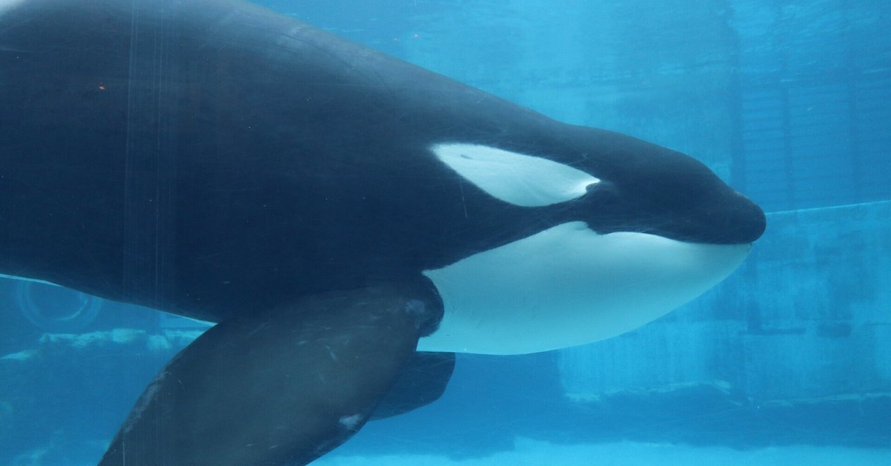 名古屋のアース君に会いに行った話｜Eiki from EVICE