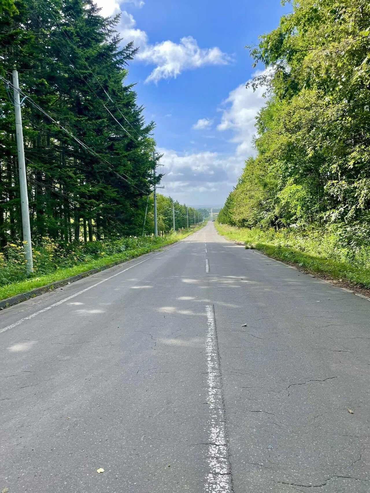 北海道、ジモティな旅② 長沼町編｜Sally