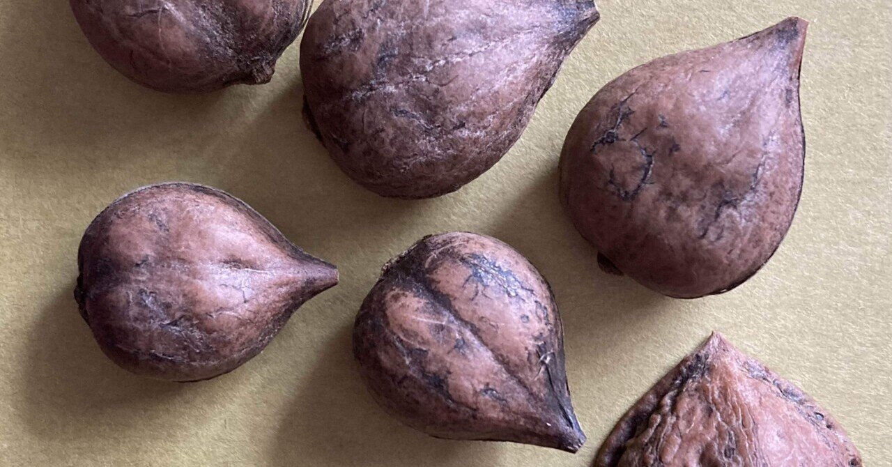 姫クルミ見つけた｜そば茶