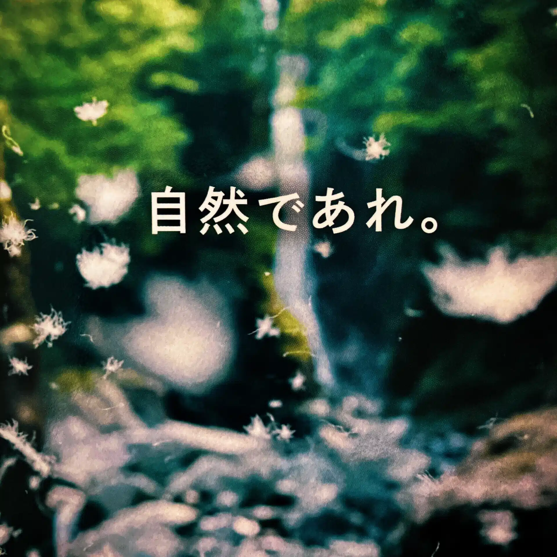 tatami_niwa