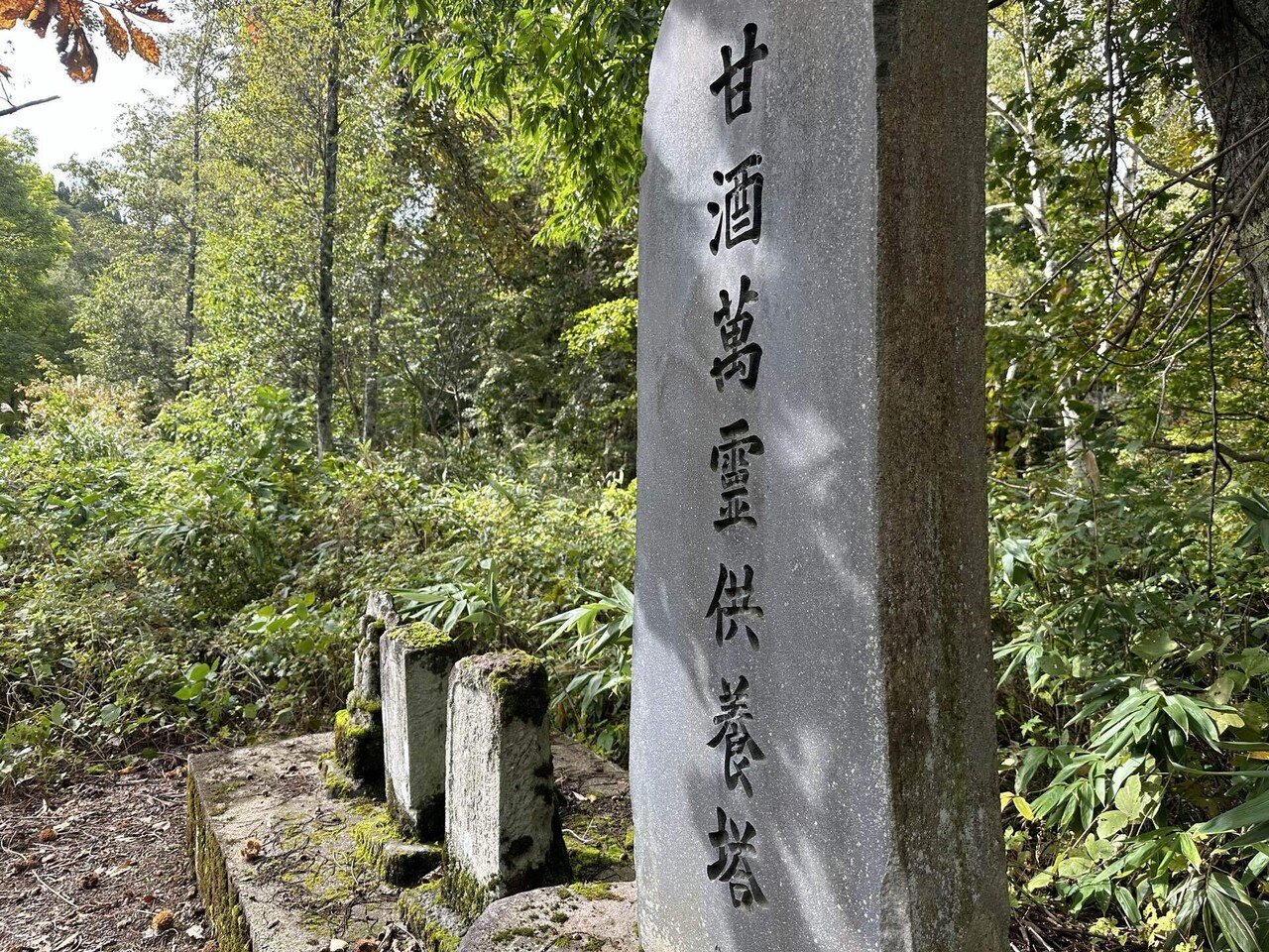 秋山郷から学ぶ！自然と共に暮らす営み｜ながしー｜新潟県地域おこし