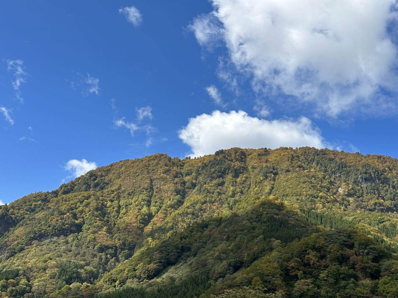 秋山郷から学ぶ！自然と共に暮らす営み｜ながしー｜新潟県地域おこし