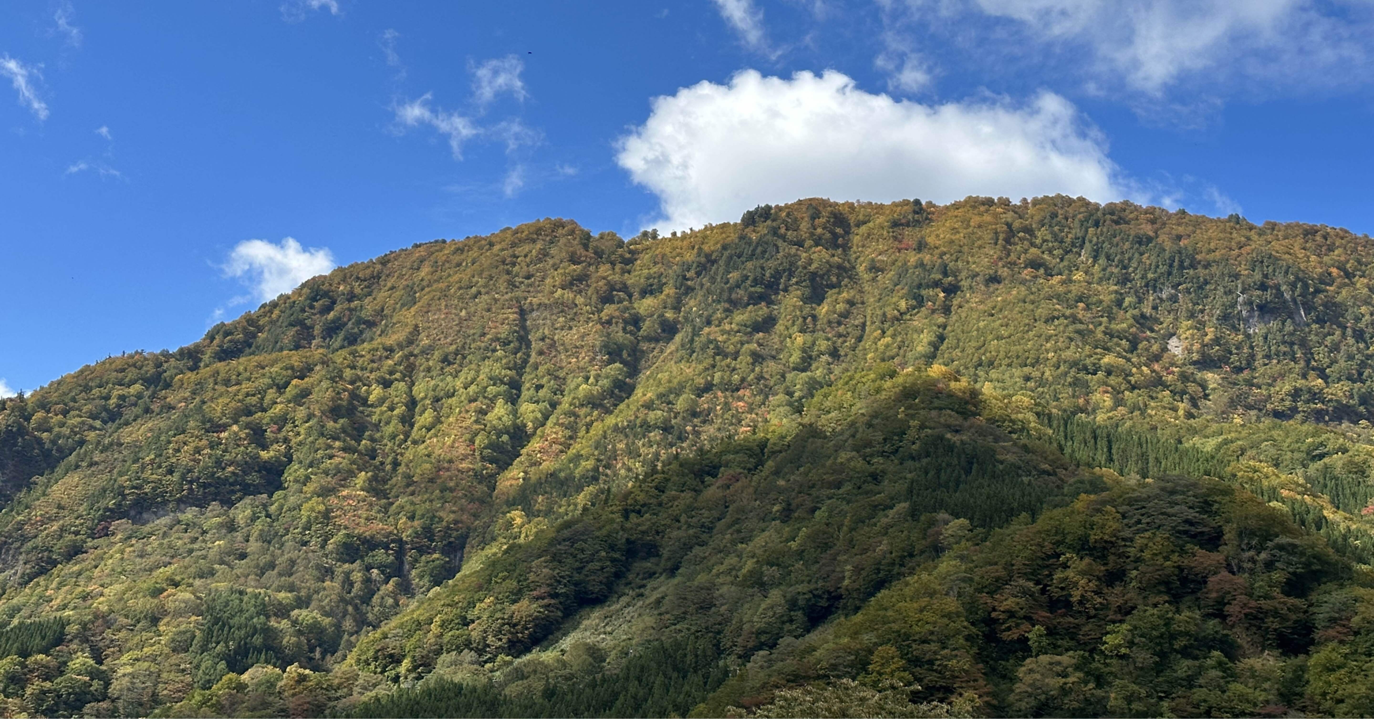 秋山郷から学ぶ！自然と共に暮らす営み｜ながしー｜新潟県地域おこし