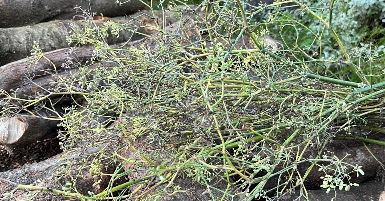 それらはどのように機能するのでしょうか?