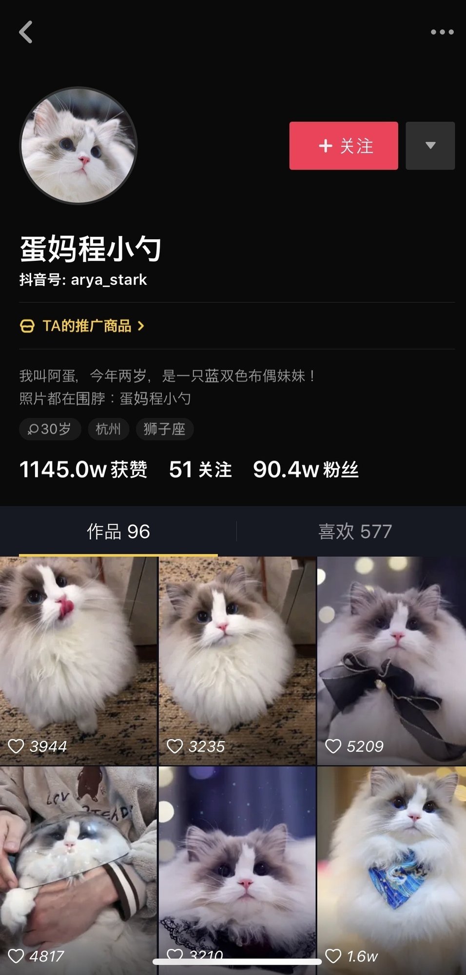 日曜日の癒やし猫動画 今日は変なやつも一緒に 中国情報局 北京オフィス Note 日曜日の癒やし猫動画 今日は変なやつも一緒に 中国情報局 北京オフィス Note