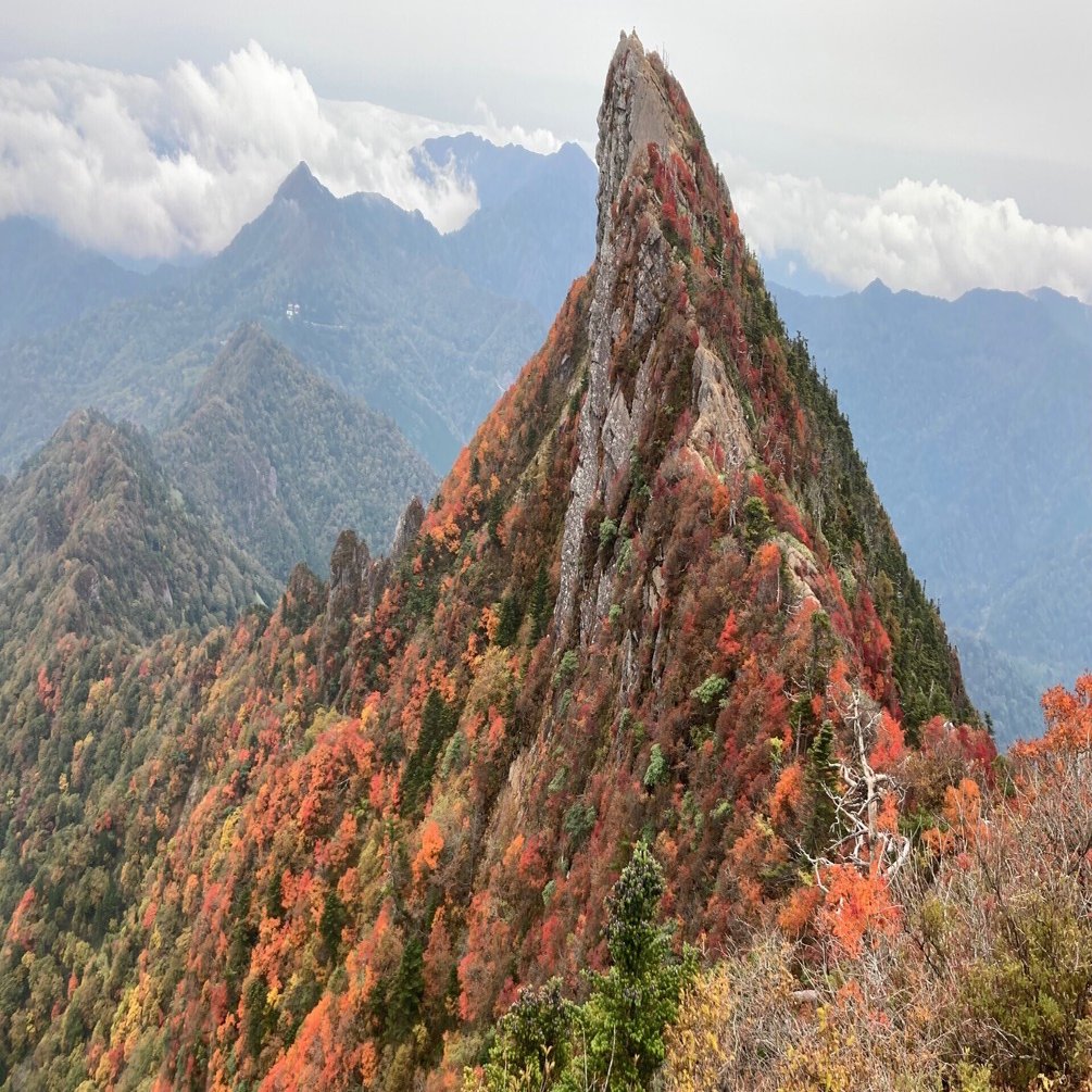 山の錦』の石鎚山｜みどり