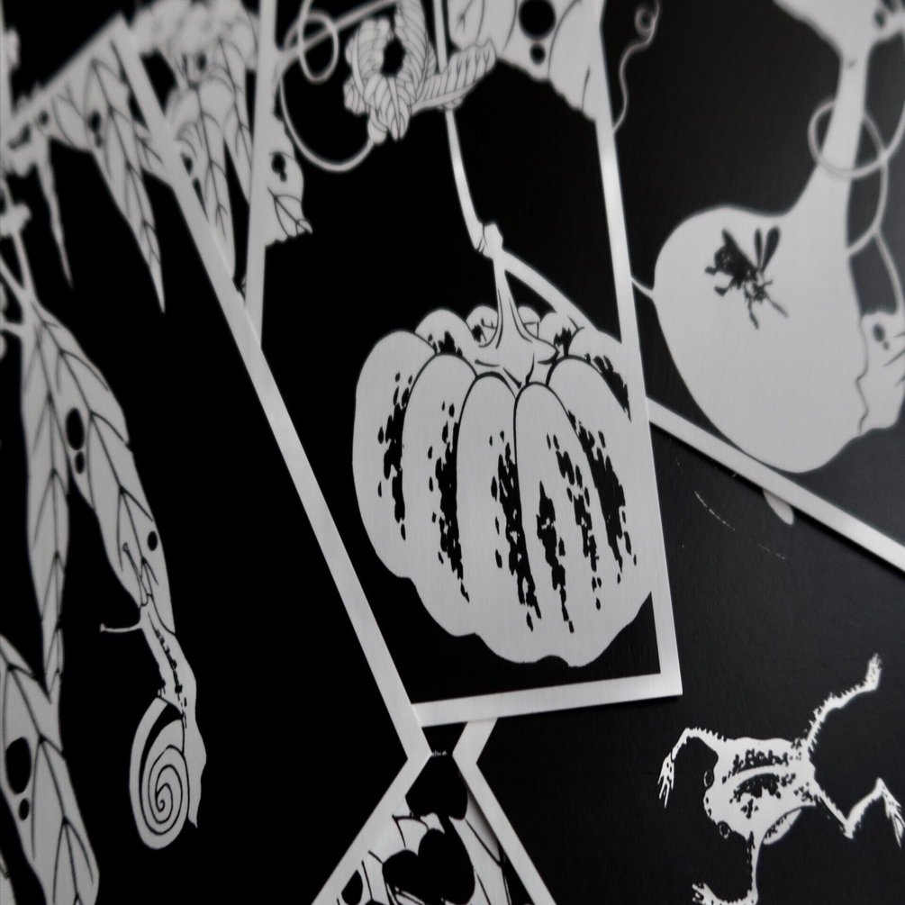 徒然雲 【玄圃瑤華 伊藤若冲】ご機嫌ブラック｜kumokichi