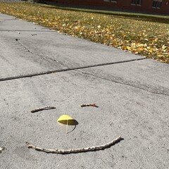 自分が見たものしか信じない。｜なっちゃんの留学記。