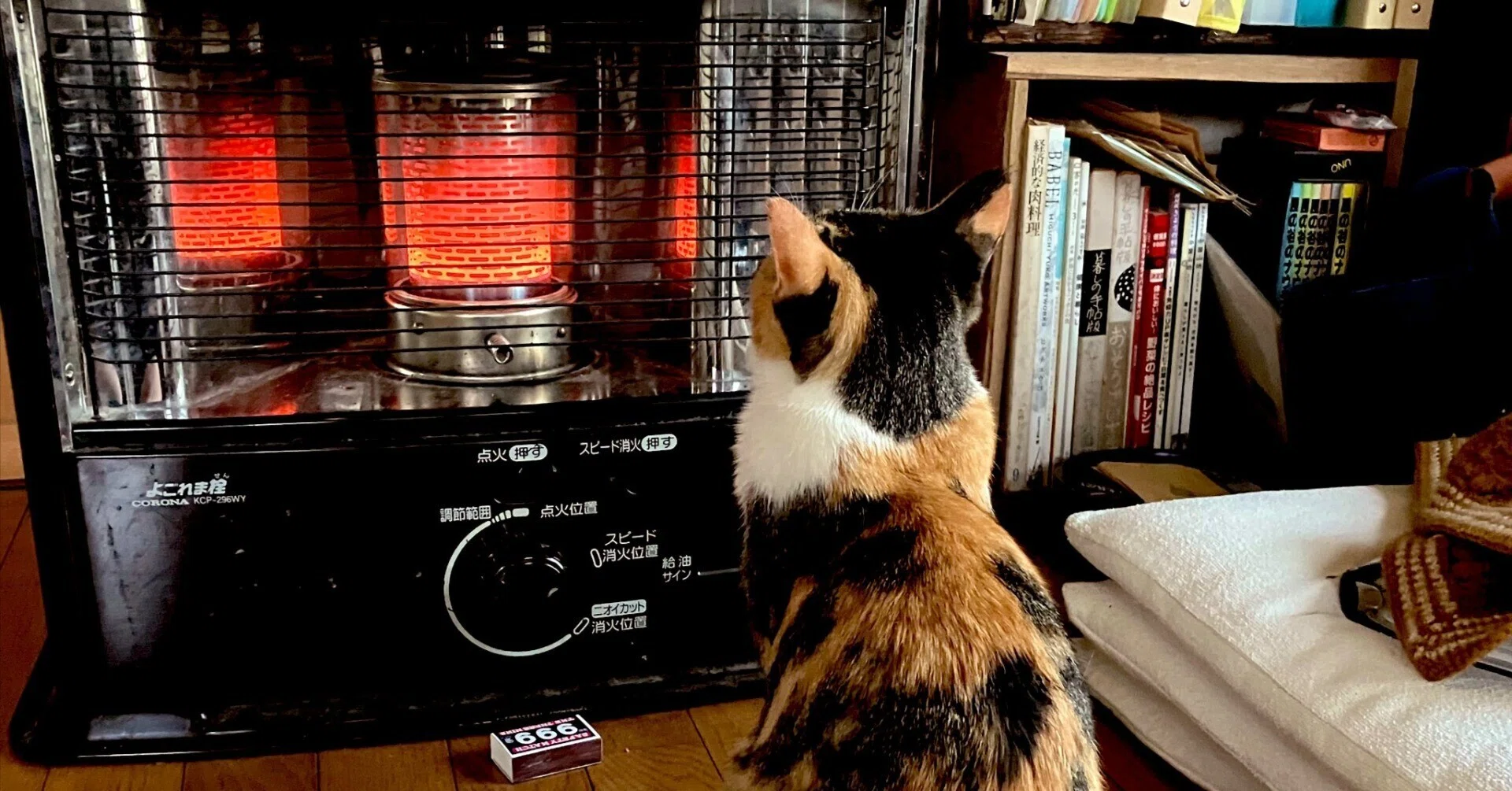 秋の風物詩】朝露で濡れた体をストーブで乾かしている猫ちゃん、その