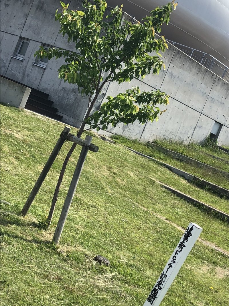 推しのfcツアーがヤバすぎた 完 もちもち Note 推しのfcツアーがヤバすぎた 完 もちもち Note