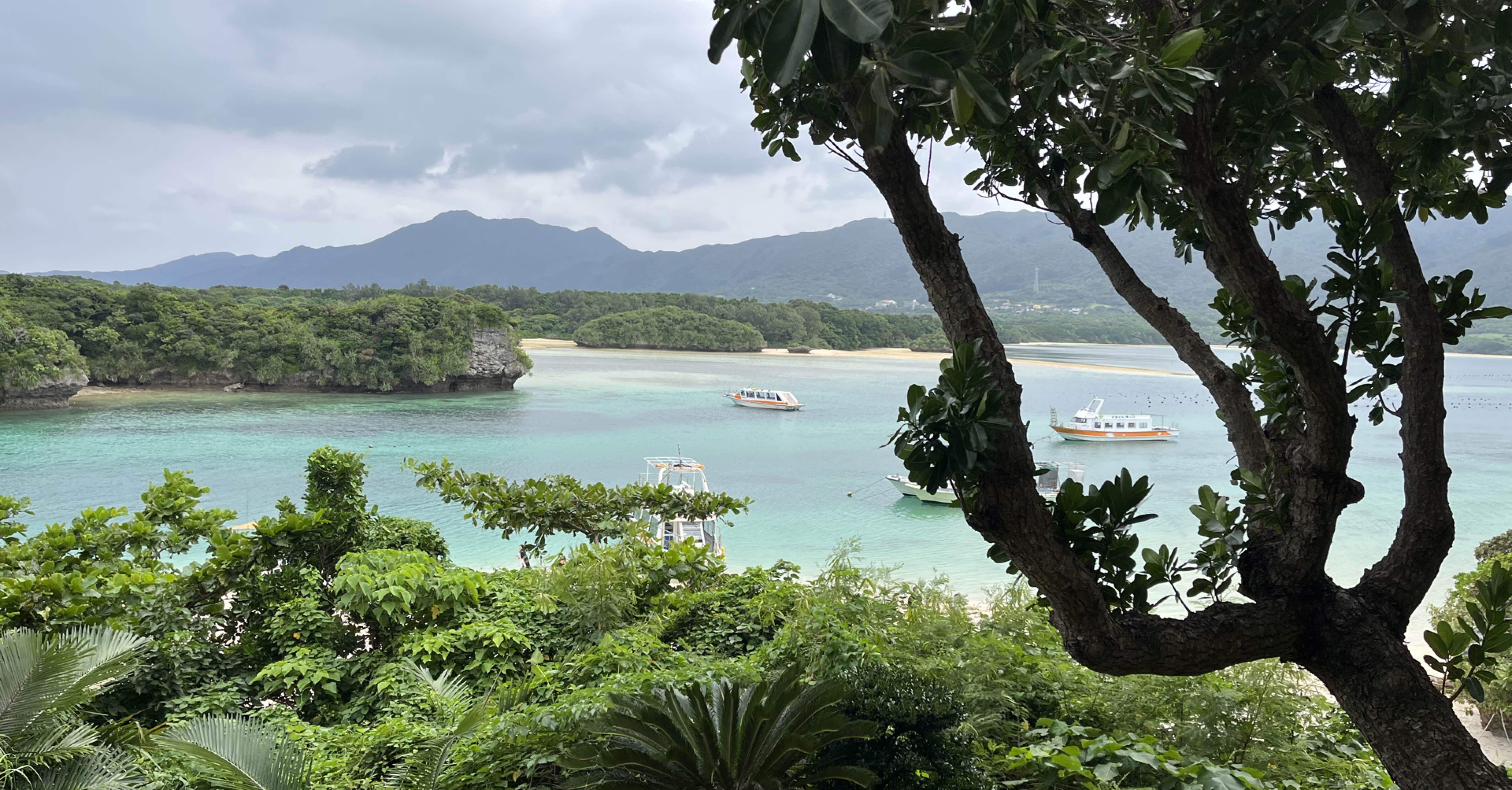 2歳連れ沖縄・石垣島旅行 2日目｜ふさふさ