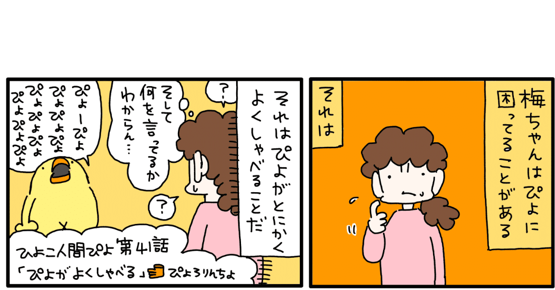 ひよこ人間ぴよ本編第41話『ぴよがよくしゃべる』（漫画。2ページ