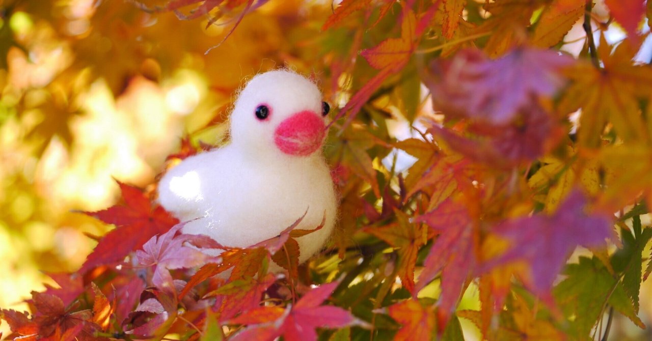 rectangle_large_type_2_820aac8