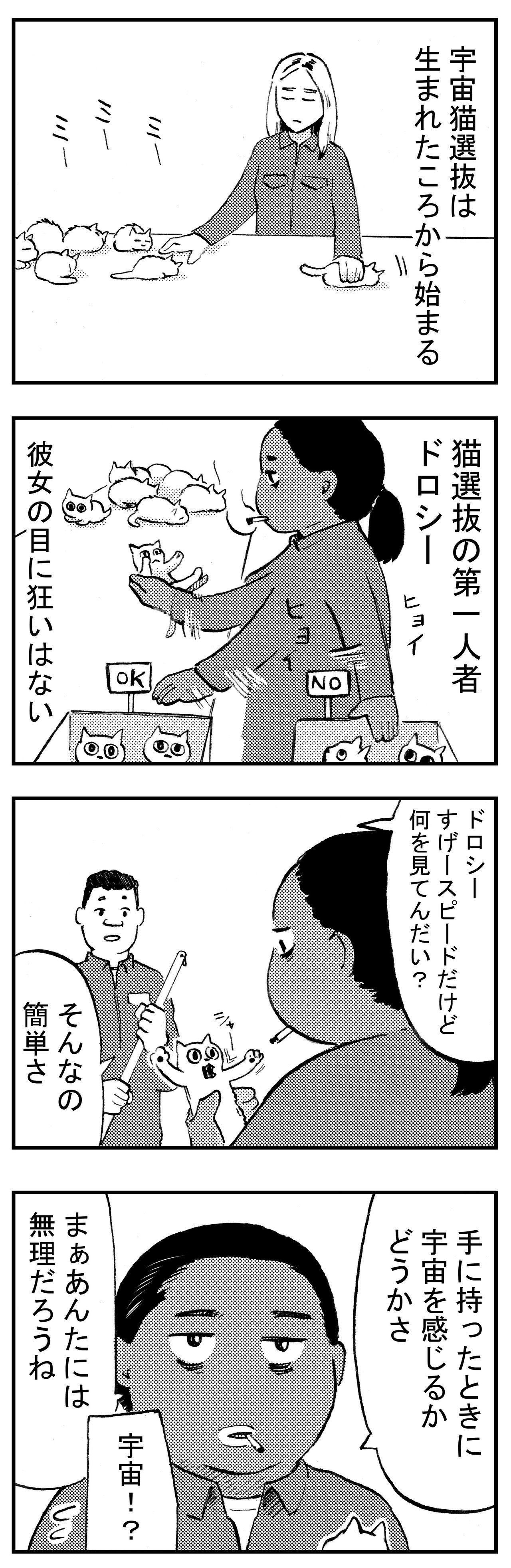 アス猫009