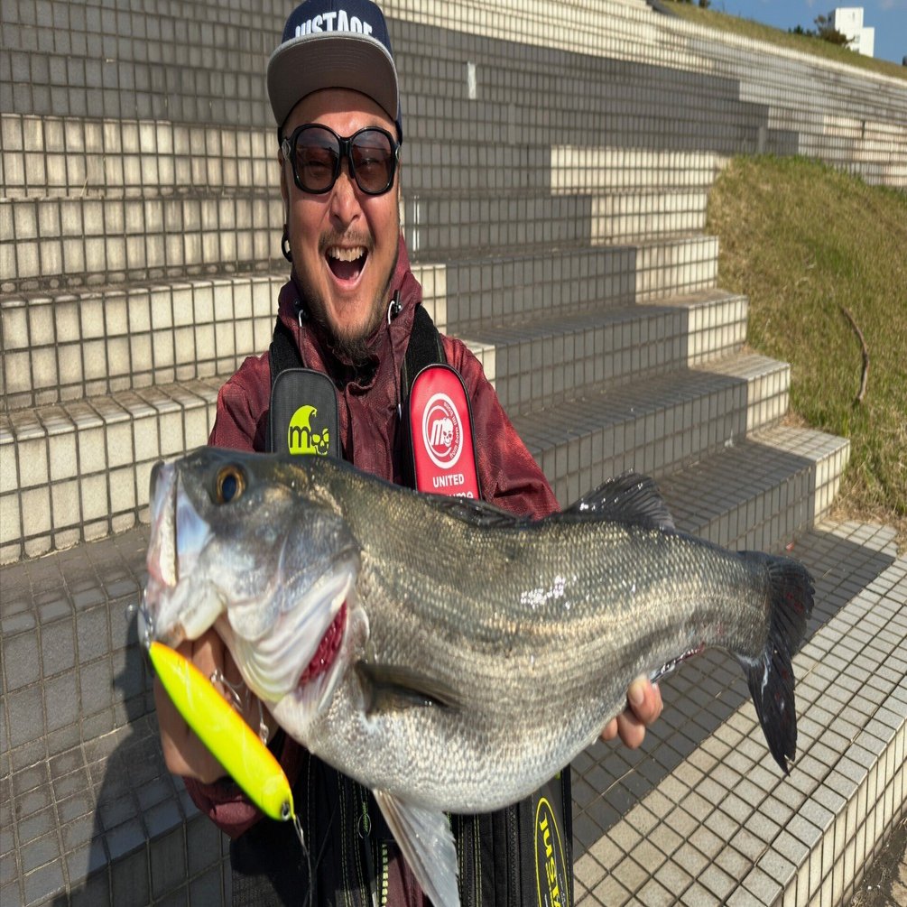 チャリ駒形の東京湾奥河川シーバスパターン-10月編｜LuckyCraftJapan