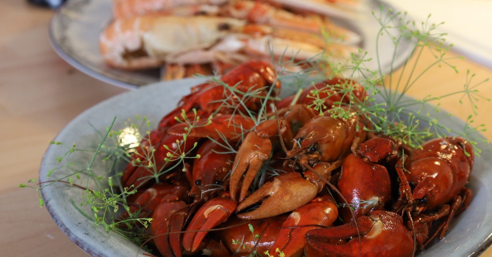 5acc0a49c4b3ea906e6a14434cbc2c