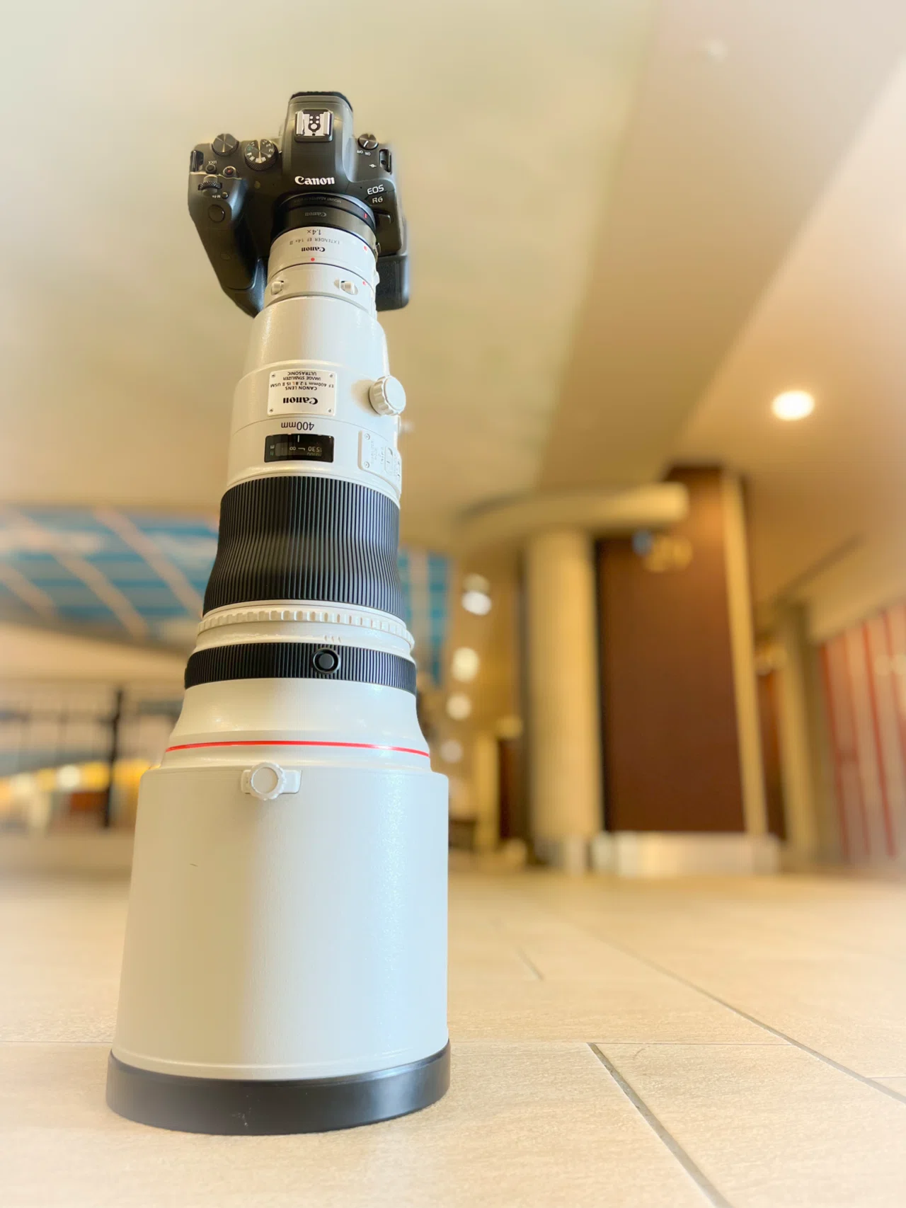 サンニッパ」300mm f2.8レンズを買った理由｜Alice_photolog