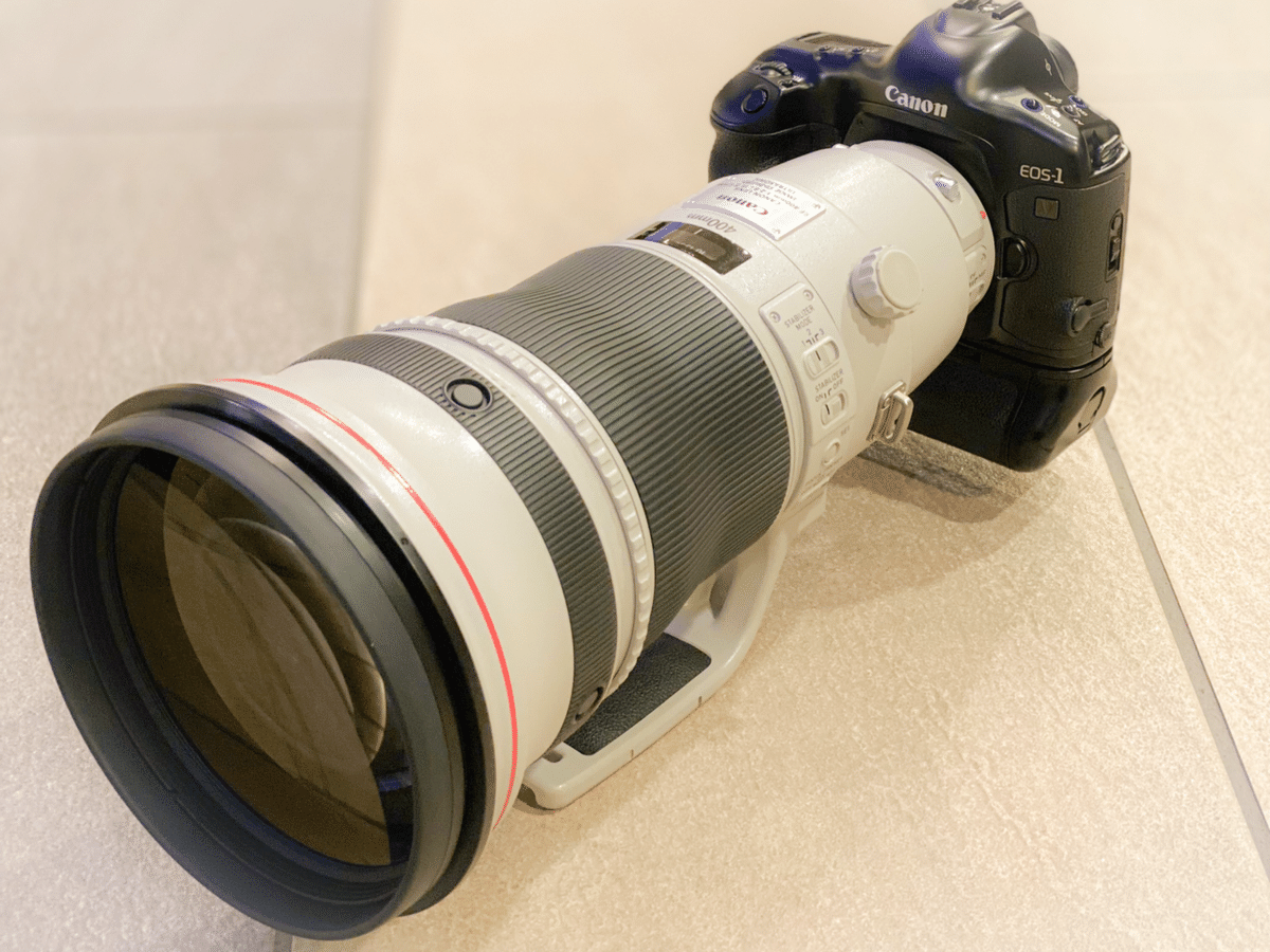 サンニッパ」300mm f2.8レンズを買った理由｜Alice_photolog