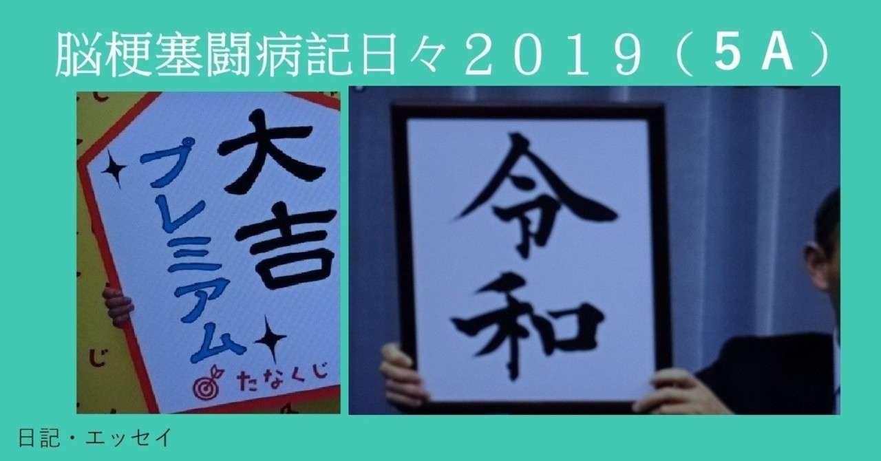 脳梗塞闘病記日々2019 5a Michizane Note 脳梗塞闘病記日々2019 5a Michizane Note