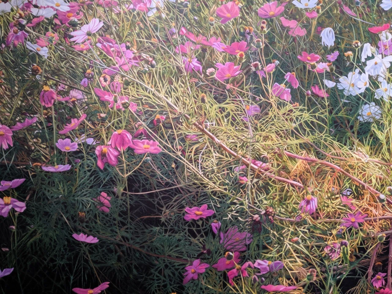 吉村芳生　バラ　平成8年　薔薇　鉛筆画　色鉛筆 存在を浮かび上がらせる吉村芳生作品｜入谷佐知さっちん