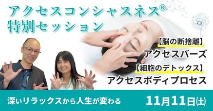 アクセス・バーズ アクセスコンシャスネス ボディ