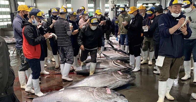 生鮮クロマグロ水揚げ日本一・塩釜魚市場で架空名義取引、税務署調査で確認、漁獲報告漏れを指摘する情報も