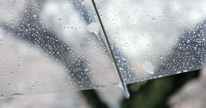 謙虚な姿勢を忘れて続けてしてしまった失敗 編集室一筆 Note