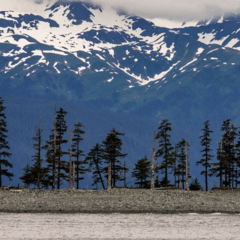 750ライダー｜ふりーだむ