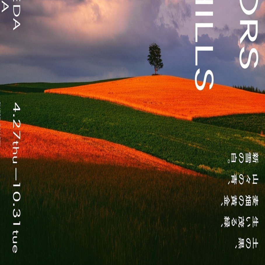 美瑛が誇る巨匠・前田真三『丘から丘へ』展｜ヨーコJAPAN