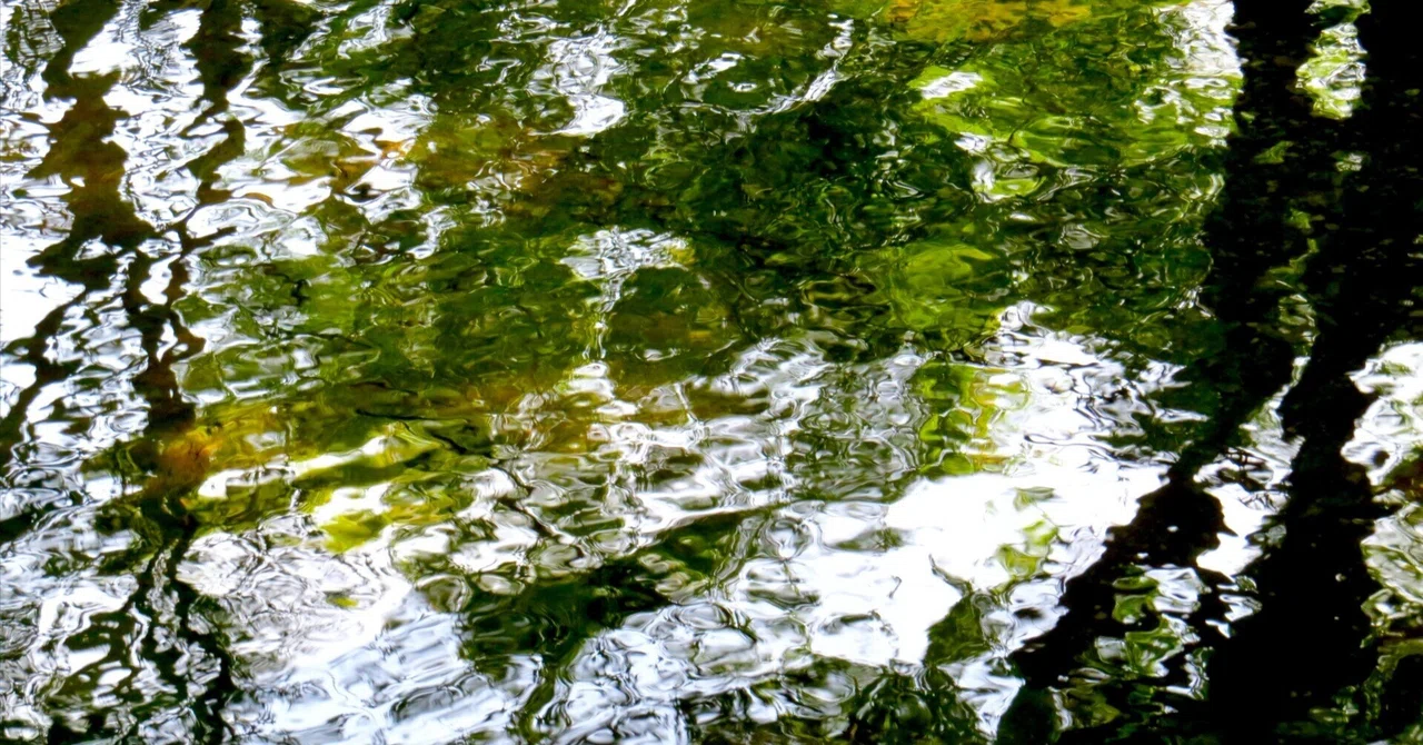 渾沌のなかで 待つ｜KAZE