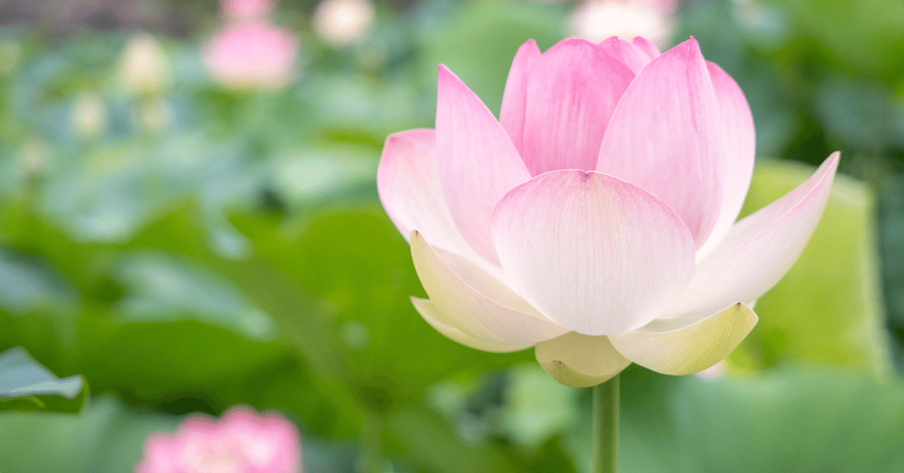 「多様性」の意味を考え中。|notebook23