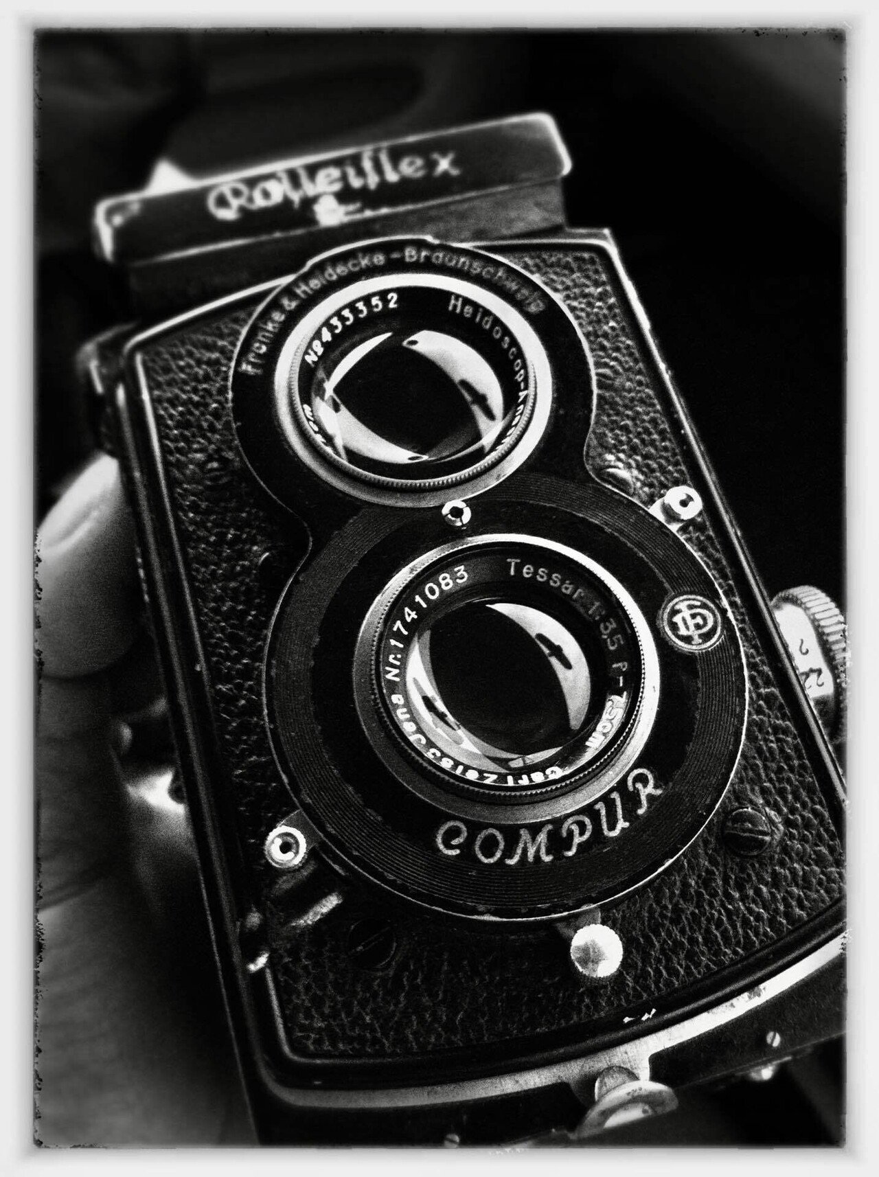 十二葉の日記〜Rolleiflex Standerd|元田中マロ 十二葉の日記〜Rolleiflex Standerd|元田中マロ