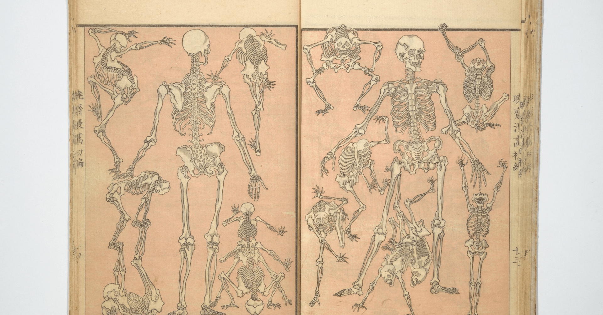 虚子の句の前につけたか 芥川龍之介の俳句をどう読むか⑪｜小林十之助