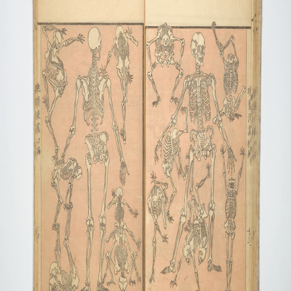 虚子の句の前につけたか 芥川龍之介の俳句をどう読むか⑪｜小林十之助