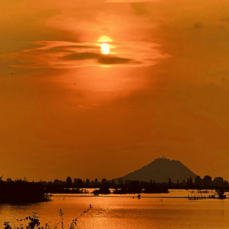 油彩原画 カンボジアの森の夕日　F 6号 油彩原画 カンボジアの森の夕日 F 6号 絵画軸 絵画千住博