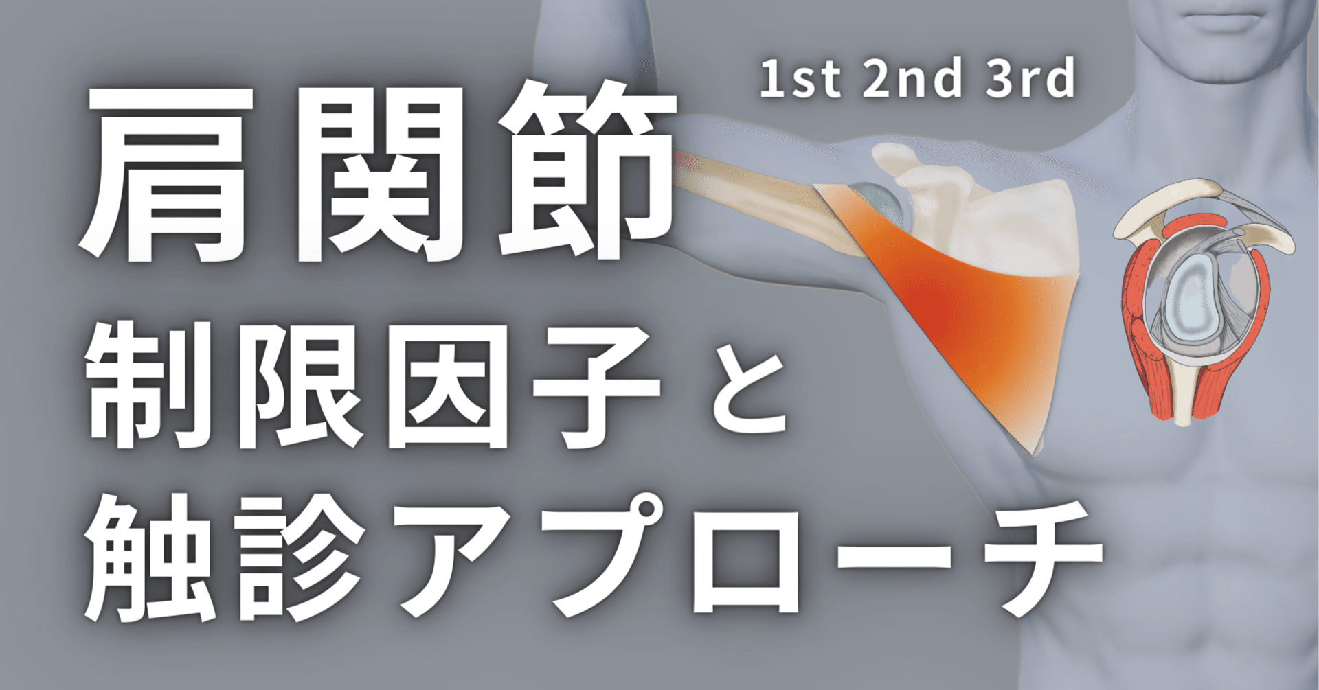 肩関節の痛みと制限因子およびその治療法