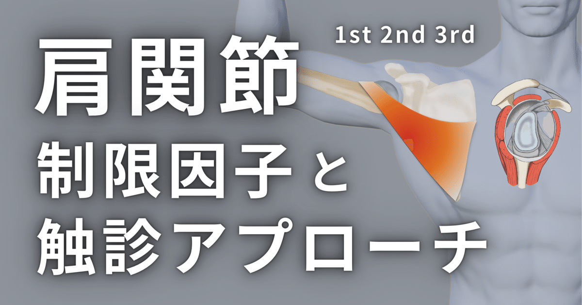 PNFの治療技術臨床応用2　肩関節へのアプローチ PNFの治療技術 ： 臨床応用編2「 肩関節へのアプローチ