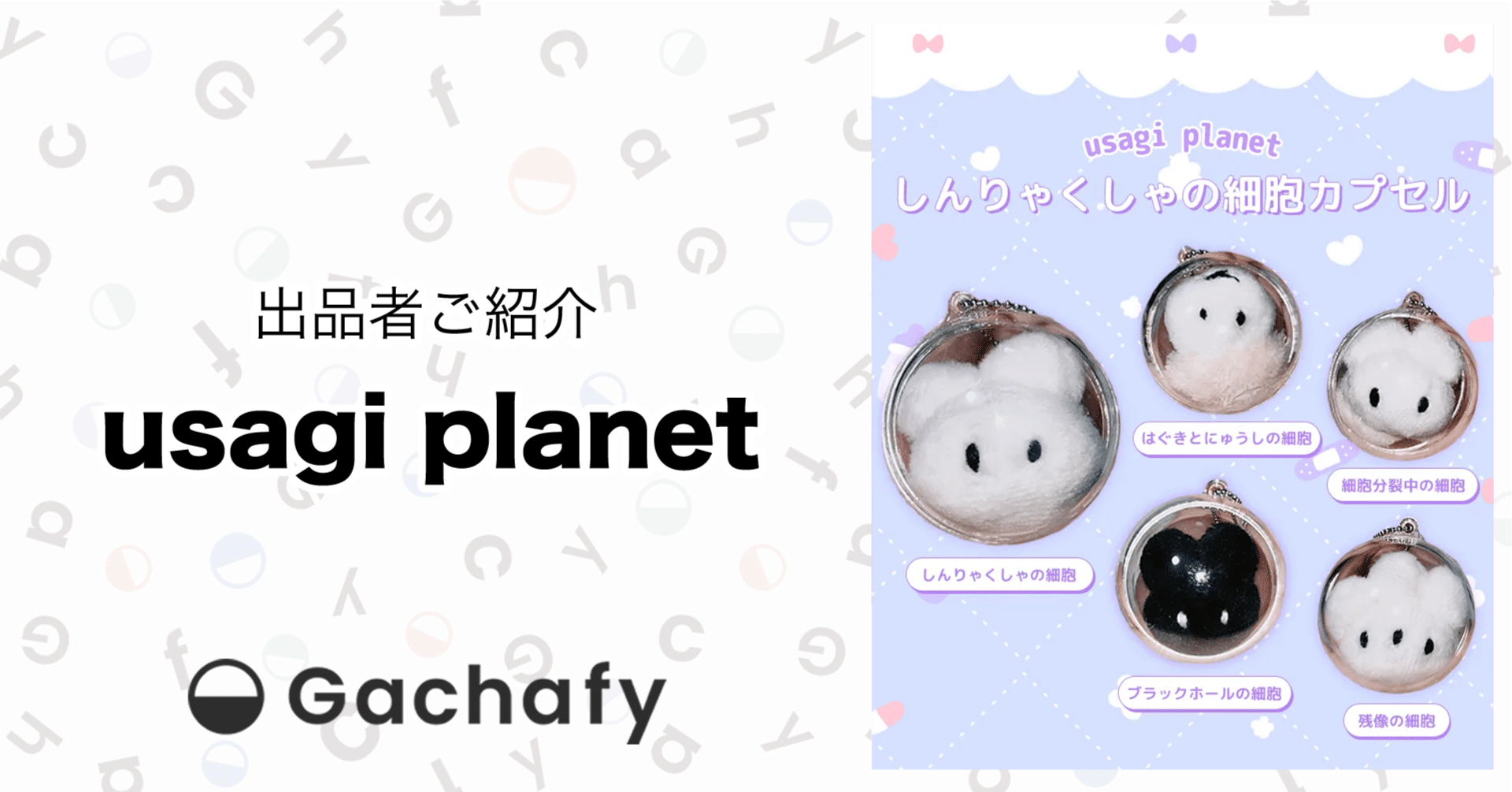 オンラインガチャガチャモールGachafy】出品者様ご紹介 usagi plant