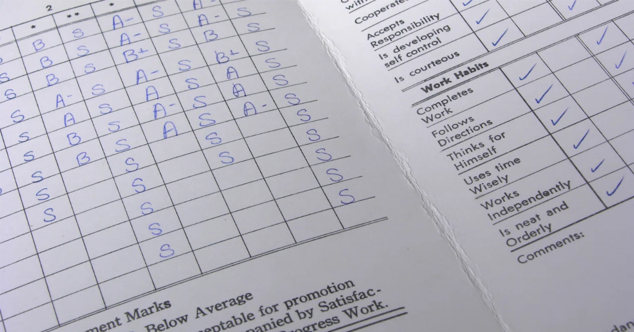 A Report Card Without Grades｜さなぎ