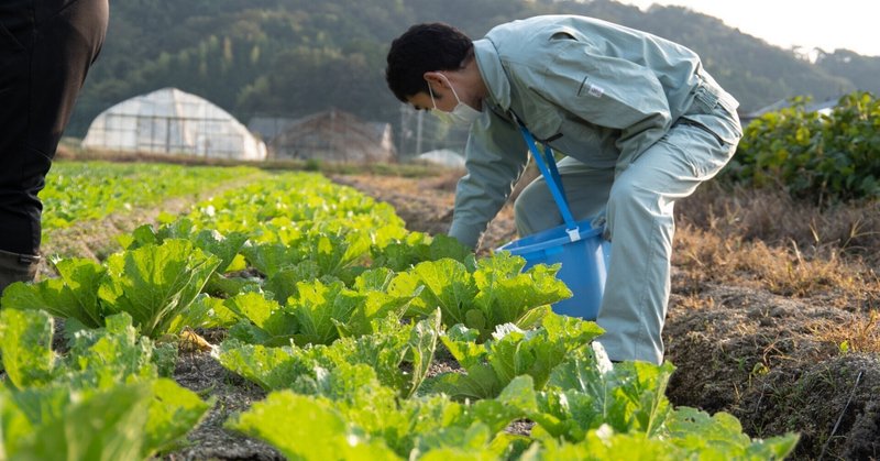 ［2023年度・宮津農旅インターンシップ］集落を維持する農業のあり方を学ぶ5日間