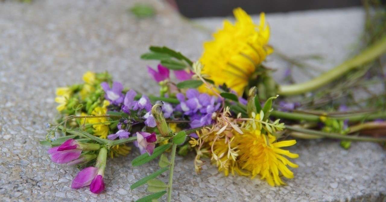 残酷な天使のテーゼ エヴァンゲリオン カラオケチャレンジvtubersou 歌ってみた 蒼生 小説家兼イラストレーター Note