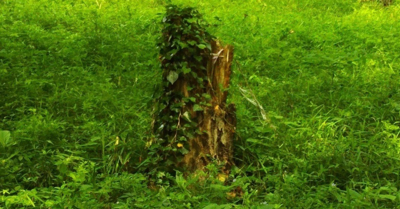 失敗しないネットカフェの使い方 シャワー編 Limeocean Note