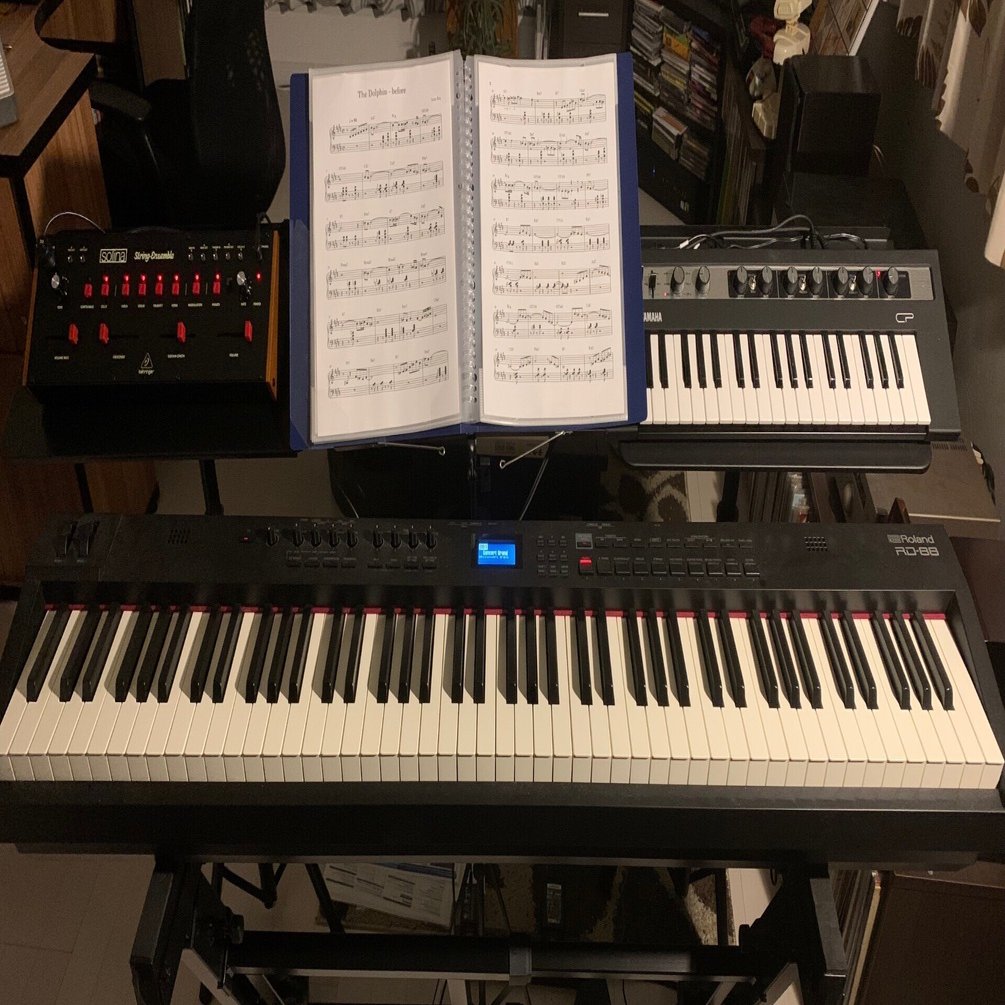 ソリーナが我が家にやってきた｜くり