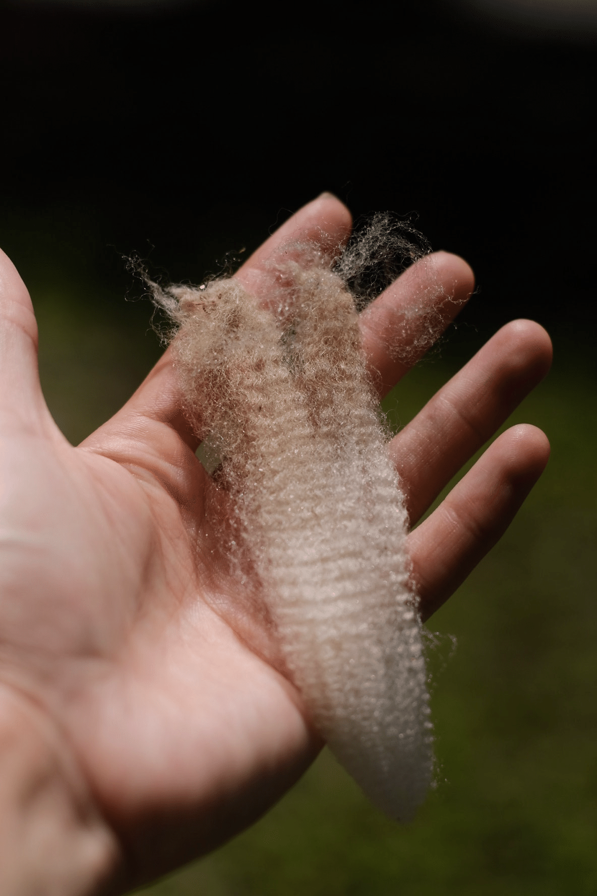 山田羊 インタビュー】ニットデザイナーであり羊飼いである山田さんに、ニットと羊について、色々聞いてみました。｜YUSHIN