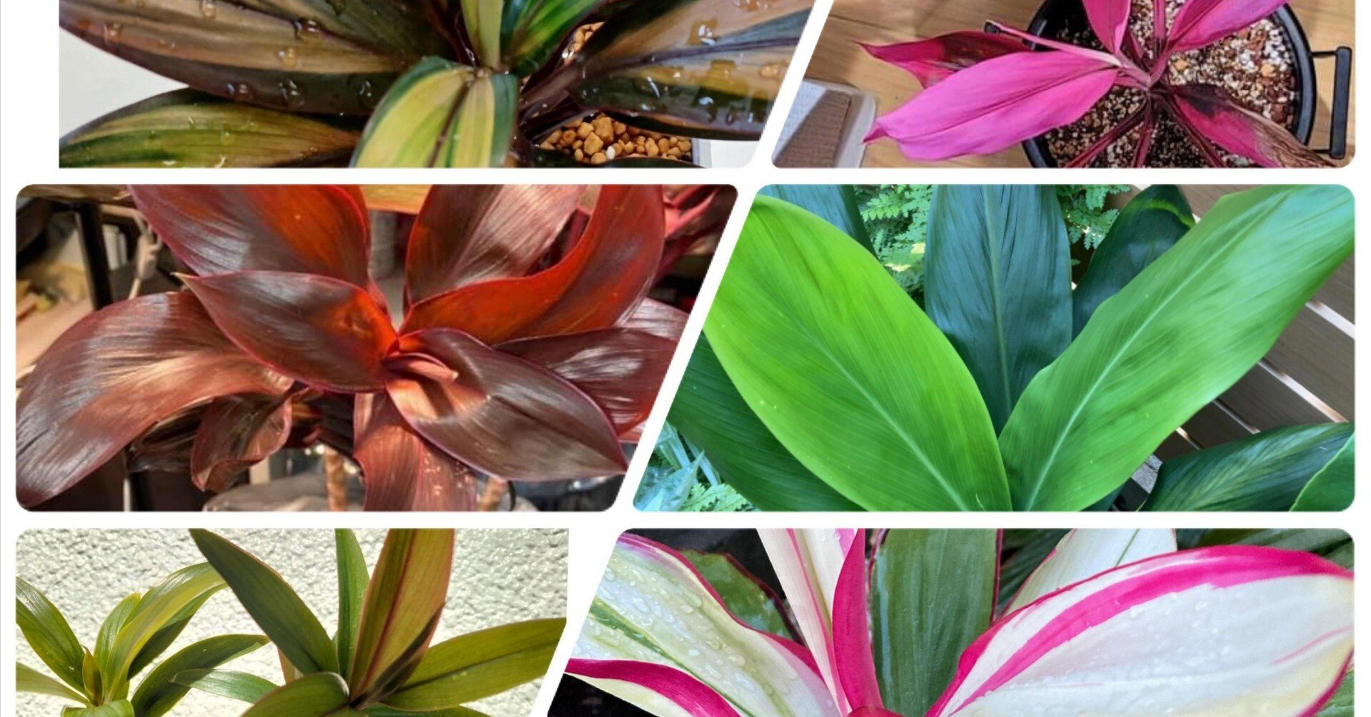 f81eedc7f69ad75b12e15130221060