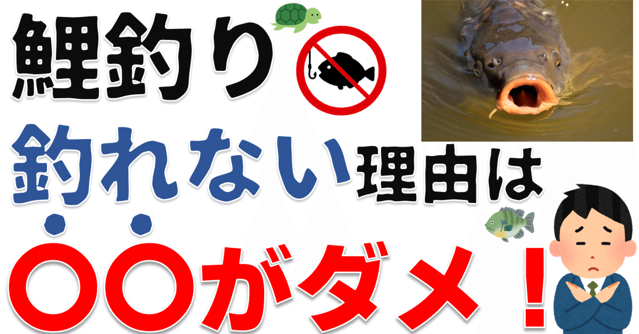 5分で理解！日本一実践的で分かりやすい鯉釣り解説①初心者が釣れない