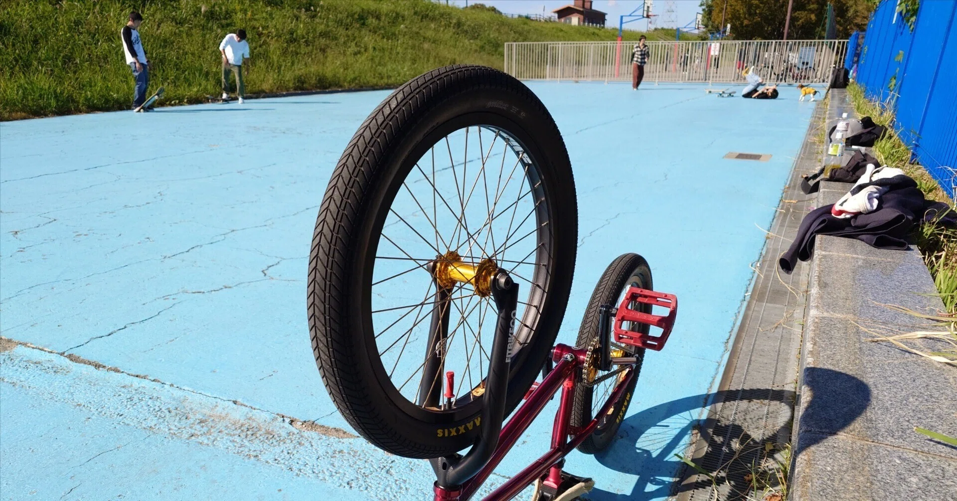 パーク攻略と新兵器チタニウムコグドライバー BMX｜AngelicaNigo