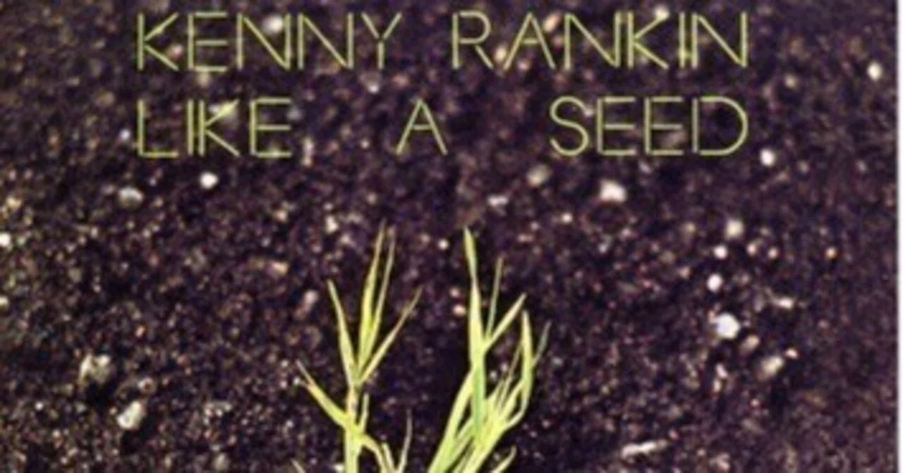 Kenny Rankin「Like a Seed」(1972)｜音楽の杜