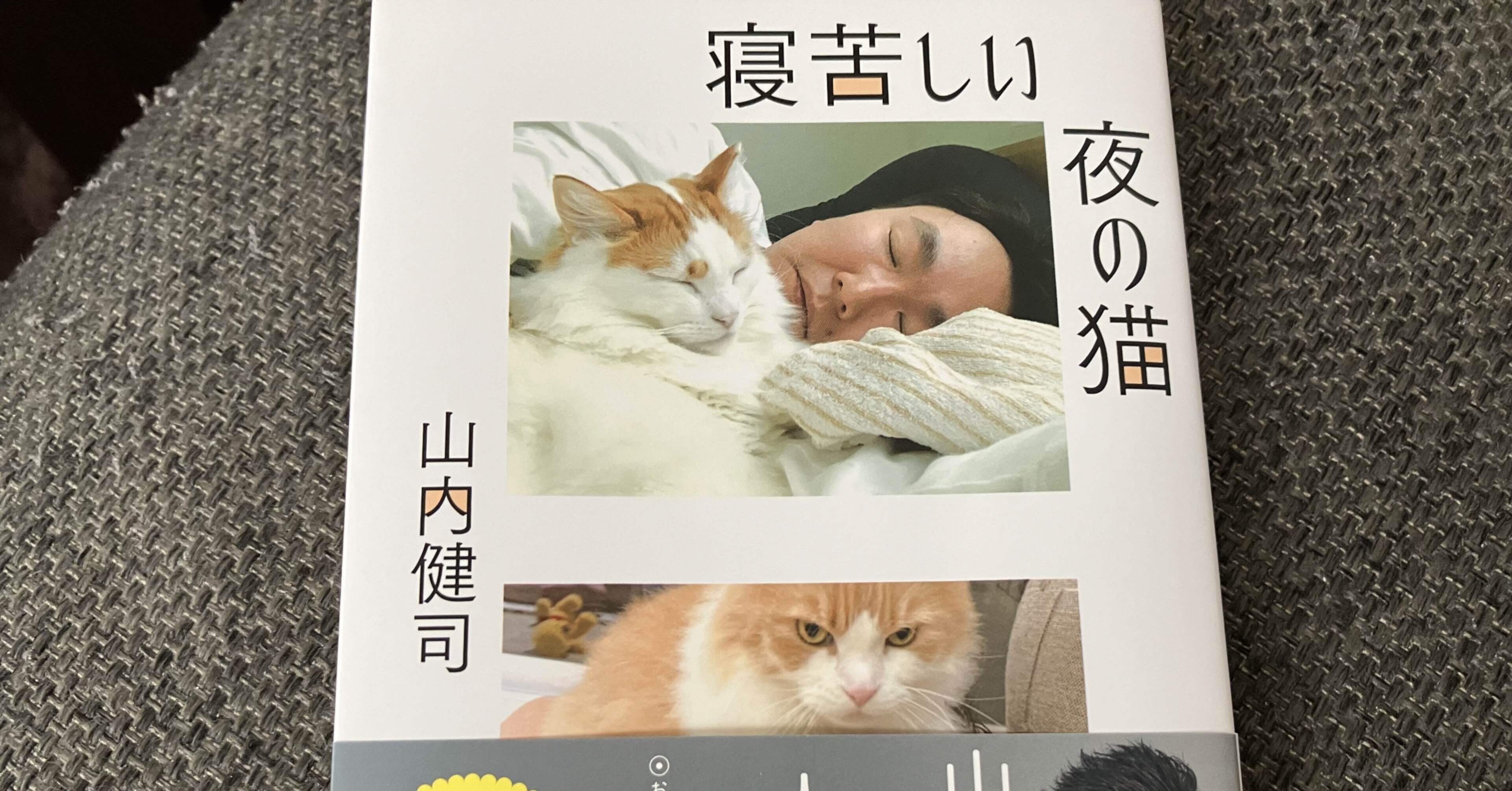 寝苦しい夜の猫」を読みました。｜弱さを知るおじさん